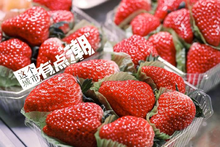 丹東：這一口鮮甜，開(kāi)啟冬日“莓”好時(shí)光