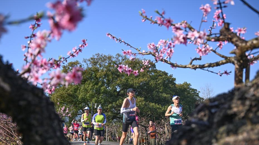 運動是加速衰老，還是延緩衰老？真相揭開