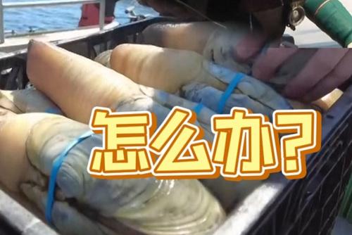 視頻丨整個停擺！美關(guān)稅“回旋鏢”又擊中這一市場