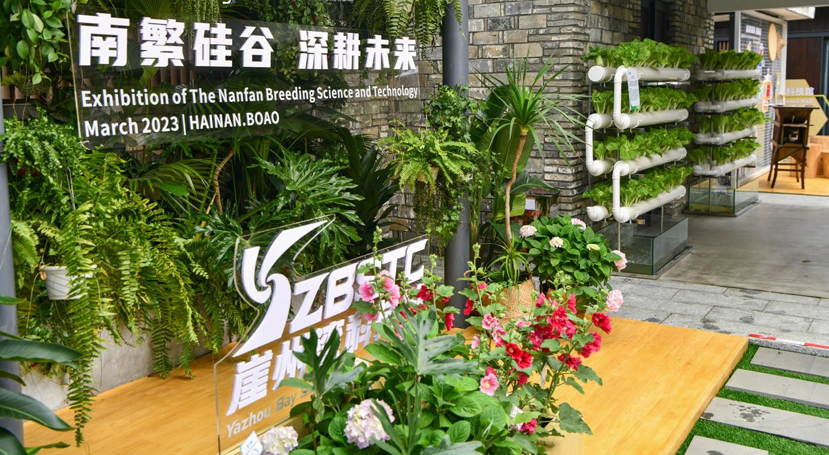 三亞攜南繁果實(shí)、深海利器亮相博鰲亞洲論壇年會(huì)