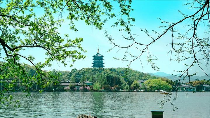 江山如此多嬌 | 西湖美景，八月天吶
