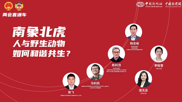 兩會(huì)直通車：南象北虎 人與野生動(dòng)物如何和諧共生？