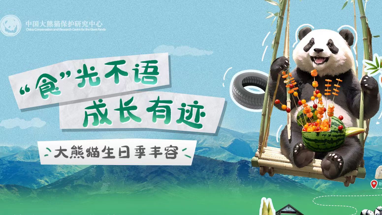  大熊貓也過(guò)中秋節(jié)？一起來(lái)看國(guó)寶的中秋禮物 