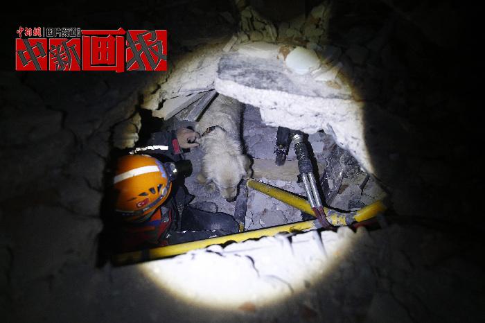汪汪隊立大功！廢墟中尋找生命之光的搜救犬