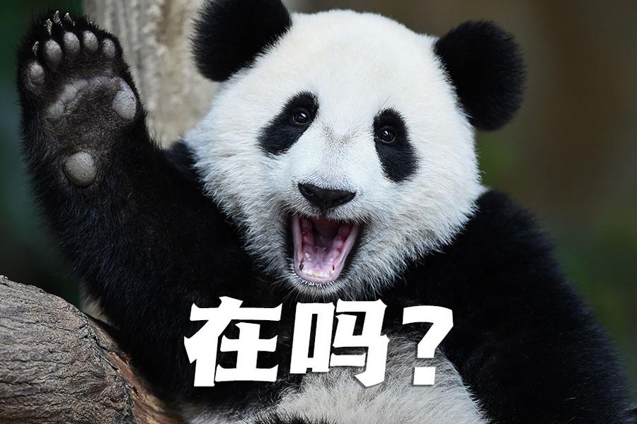 【世界微笑日特刊】嘿嘿，今天你笑了嗎？